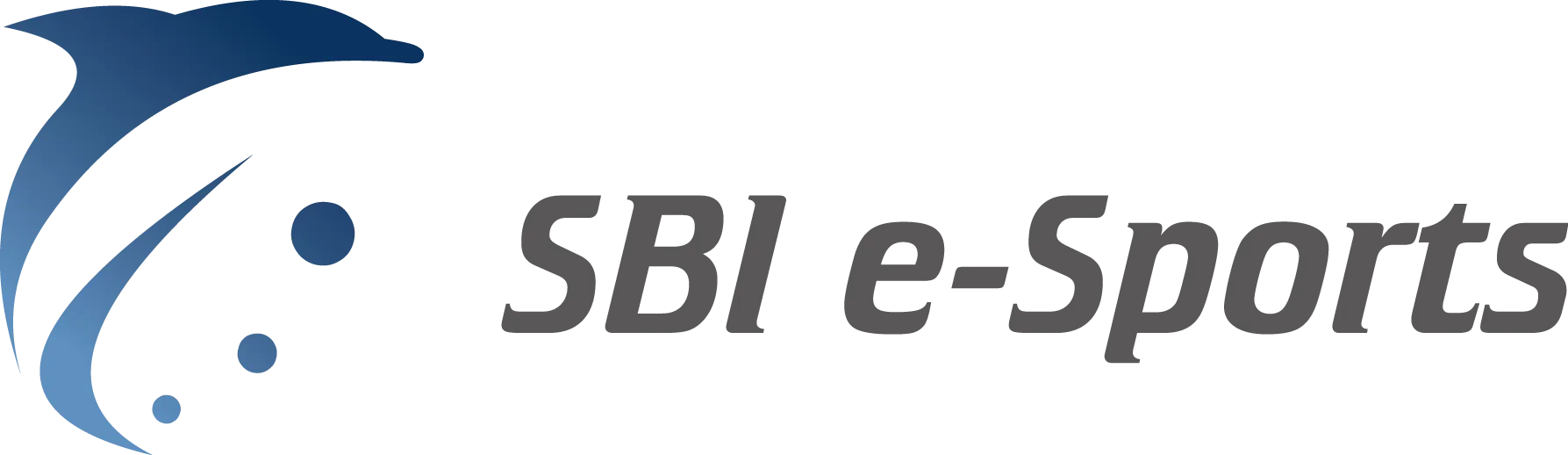 SBI デジタルハブ株式会社